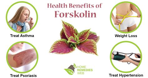 Health Benefits of Forskolin