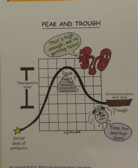 peak trough pharmacology mnemonics nursing mnemonics