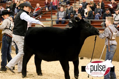 Sioux Empire Livestock Show Discovering Champions In South Dakota