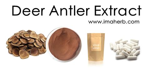 deer velvet antler deer antler extract powder 5:1 10:1 20:1