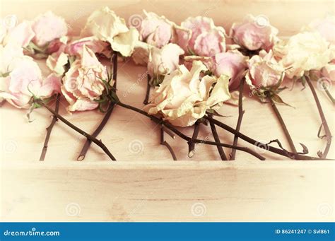 Drying Of Roses In Wooden Tray Stock Image Image Of Faded Household