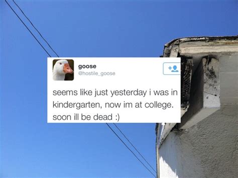 Fuck The World And All Its Pretty Things On Tumblr