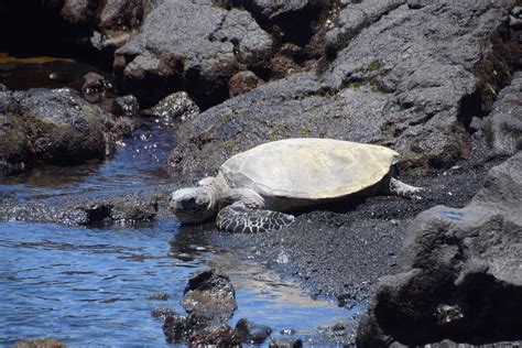 Hawaii Volcanoes National Park | travelcollaborative.com