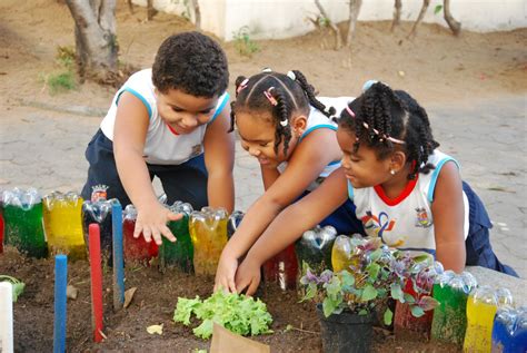 A Import Ncia De Projetos De Horta Escolar Dentro Da Educa O Ambiental