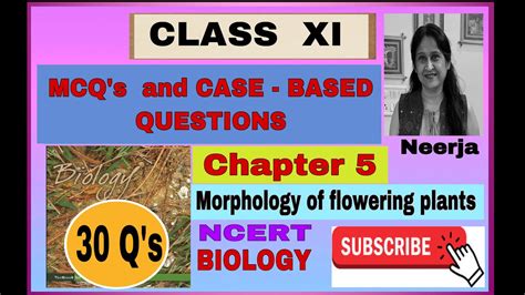 Mcq’s And Case Based Questions 30 Class11 Biology Chapter 6 Morphology Of Flowering