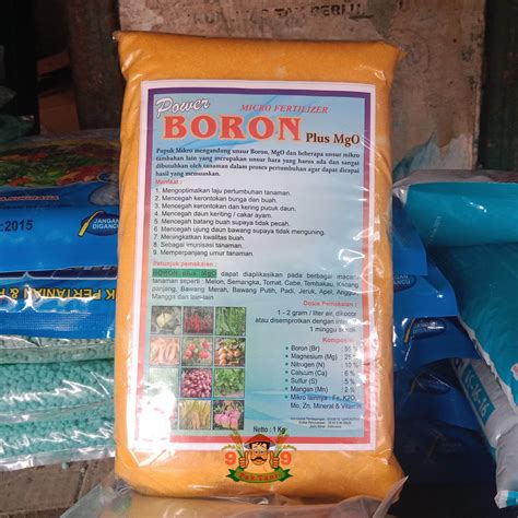 TERLARIS Pupuk BORON Plus MgO Micro Fertilizer 1 Kg Lazada Indonesia