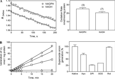 Determination Of Nadph Oxidase Activity In Isolated Triad Vesicles A