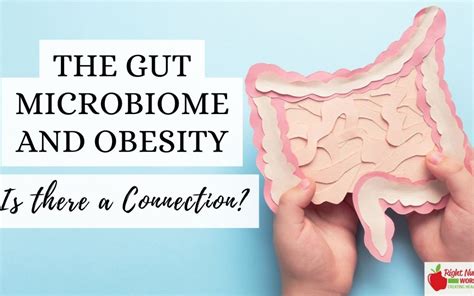 The Gut Microbiome and Obesity: Is There a Connection? - Right ...