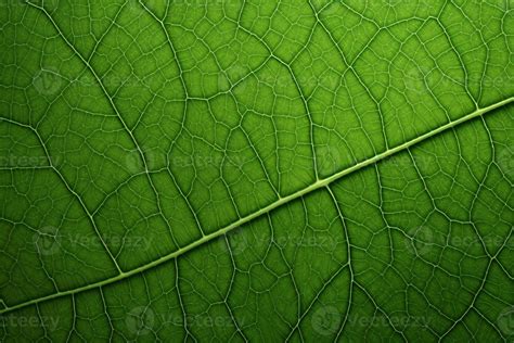 Ai Generated Close Up Green Leaf Texture Macro Leaves Texture Background Green Leaf Macro