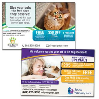 Veterinary Reminder Cards Smartpractice Veterinary