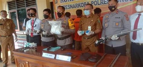 Polres Bungo Ringkus Tiga Bandar Dan 1 Kg Sabu Serta Senpi Rakitan