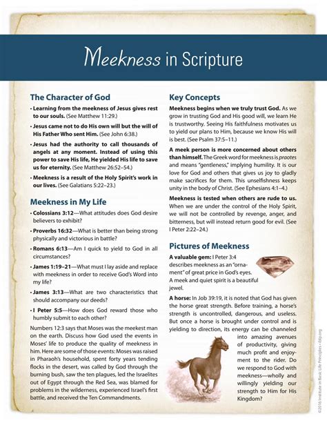 Meekness Biblical Character Curriculum By Institute In Basic Life