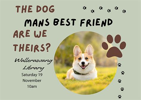 The Dog Is Mans Best Friend Are We Theirs Lithgow Library