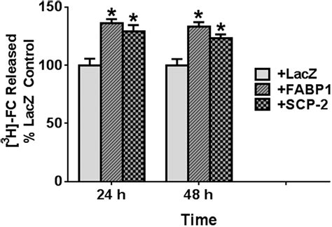 Intracellular Cholesterol Transport Proteins Enhance Hydrolysis Of HDL