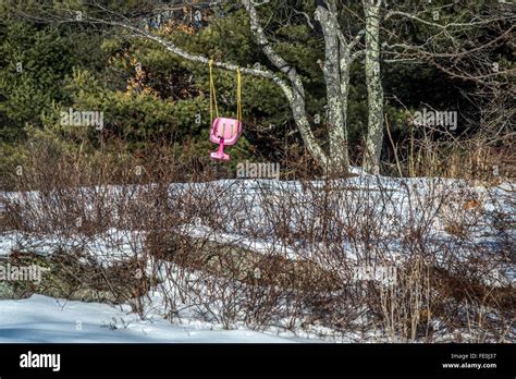 A little girl has a new Pink Swing, But it is now the mid of winter ...