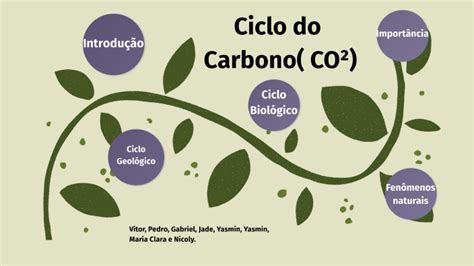 Ciclo Do Carbono By Vitor Silva On Prezi