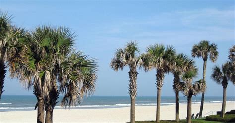 Beaches Of Jacksonville Fl Northeast Floridas No Name Island