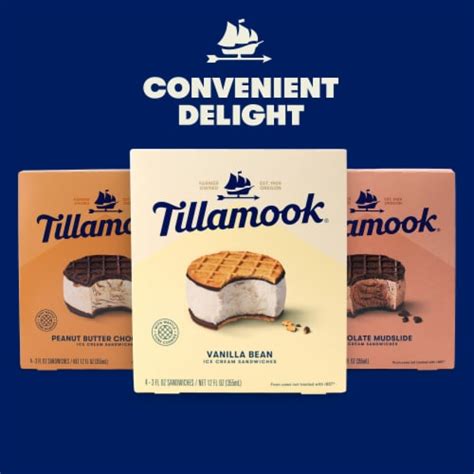 Tillamook Chocolate Mudslide Ice Cream Sandwiches, 4 ct - Fred Meyer