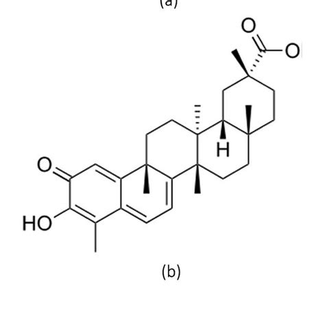 The Structural Formula Of Triptolide Celastrol And Triptonide A