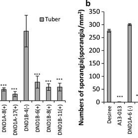 Broad Spectrum Resistance To Late Blight In Potato By Silencing StDND1