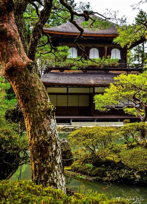 Facing Japan's Ginkakuji, Kyoto - Travel Through Life