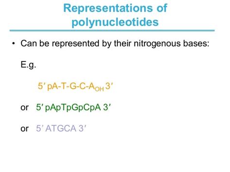 Chapter 8 Nucleotides Biochemistry