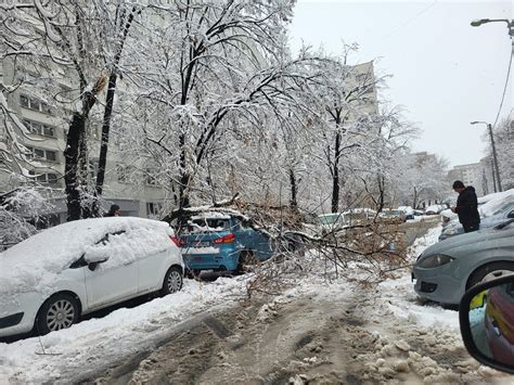 B365 FOTO Copac căzut peste mașină pe mijlocul străzii în