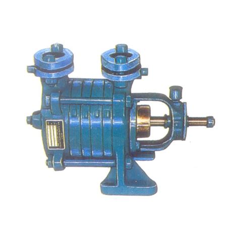 Hp Self Priming Multistage Pumps For Industrial At Best Price In Pune