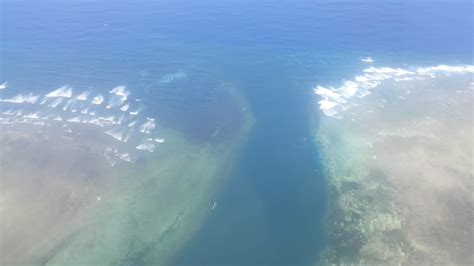 Diving Pemba Island’s Coral Reefs – CORDIOEA