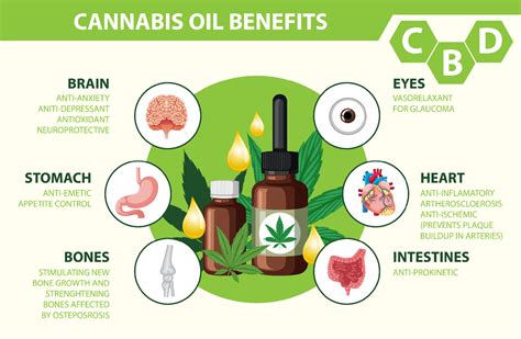 Benefits Of CBD For Physical Health Diagram 19864176 Vector Art At Vecteezy