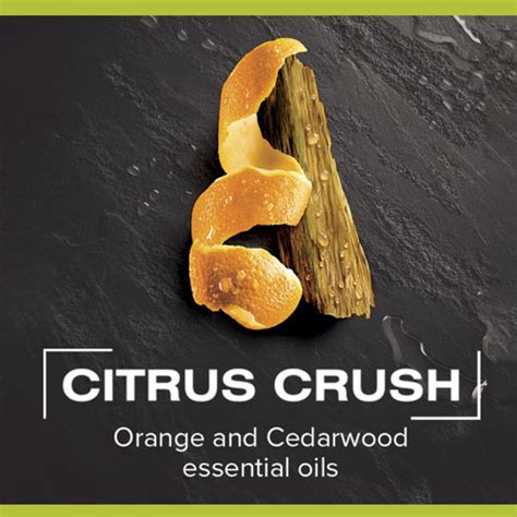 Palmolive Men Citrus Crush In F Rfi Tusf Rd Palmolive