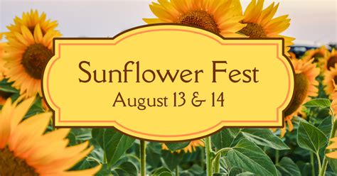 Ianiro Farms Hosts Sunflower Festival in Auburn’s Arts District ...