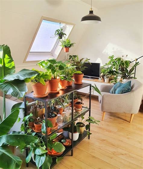 50 Plant Shelf Ideas For Your Home The Wonder Cottage