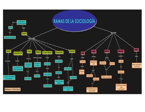 Ramas De La Sociologia Pdf