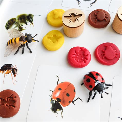 Bugs Play Dough Stamps Playdough Tools Preschool Activity Atelier