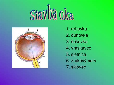 Meno: Radoslava Slaninová Trieda: 8.A - ppt stáhnout