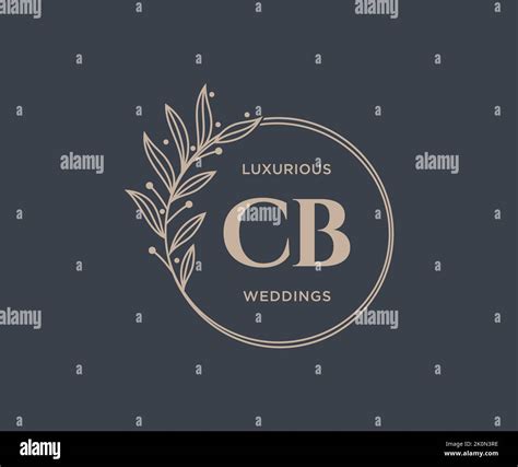 Cb Initials Letter Wedding Monogram Logos Template Hand Drawn Modern