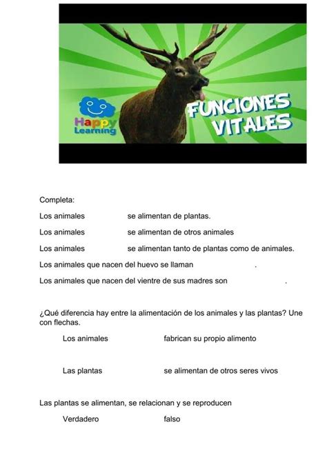 Funciones Vitales Seres Vivos Worksheet Ciencias De La Naturaleza