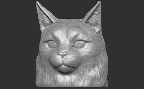 Maine Coon Head For 3d Printing 3d Model 3d Printable Cgtrader