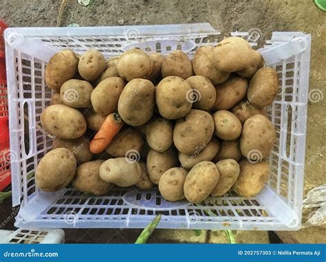 Pommes De Terre Crues Image Stock Image Du Panier L Gumes