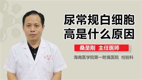 尿常规白细胞高是什么原因 有来医生