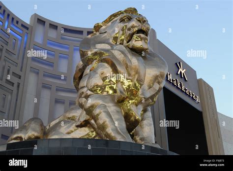 MGM Grand Lion, MGM Grand Hotel, Hakkasan Nightclub Stock Photo - Alamy