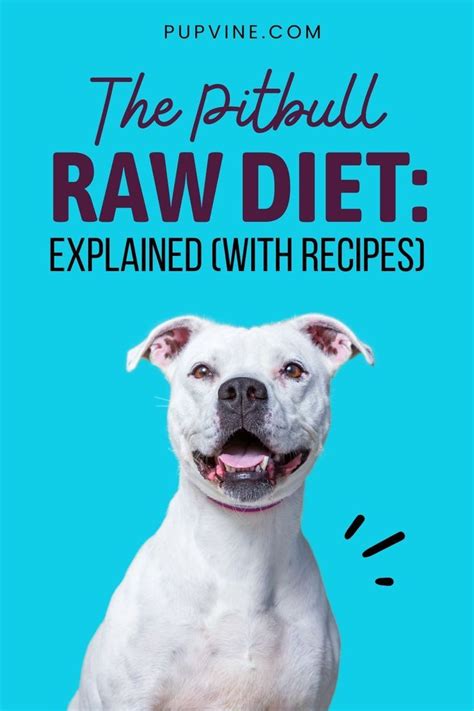 The Pitbull Raw Diet Explained (With Recipes) | Raw dog food recipes, Dog raw diet, Raw dog food ...