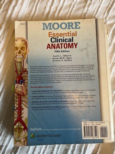 Moore S Essential Clinical Anatomy By Arthur F Dalley II And Anne M R