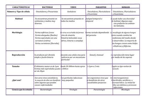 Cuadro Comparativo Microbiologia Cuadro Comparativo Caracter Sticas