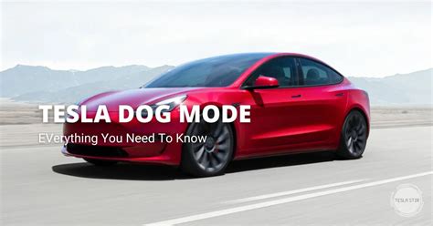 Tesla Dog Mode: Complete Guide (Everything You Need to Know)