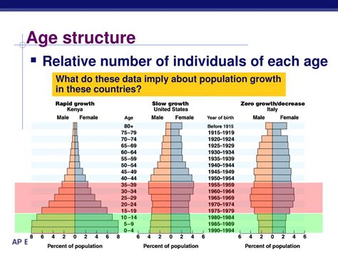 Basic Age Structure Diagram Age Structure Diagram Types