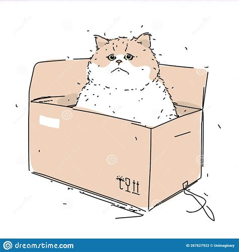 Sad Fat Cat In A Cardboard Box Vector Illustration | CartoonDealer.com ...