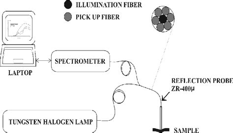 Experimental set up for diffuse reflectance spectral measurements from ... 