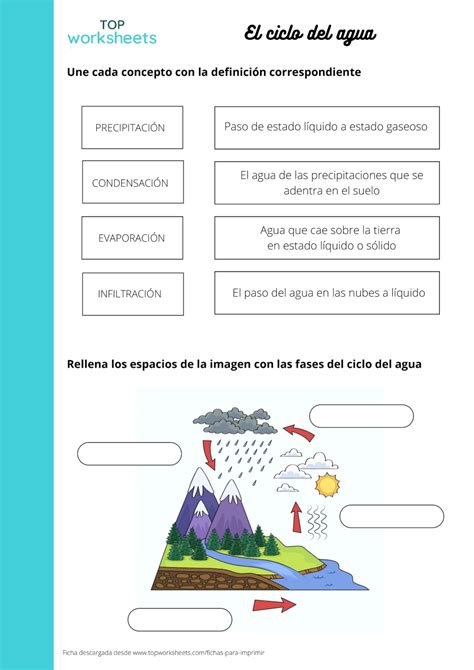 Ciclo Del Agua Ficha Interactiva Topworksheets Porn Sex Picture